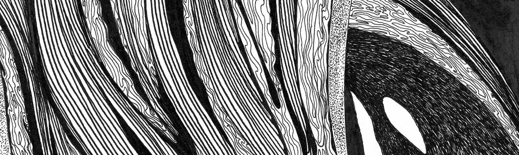 Ink drawings by Annette Abolins