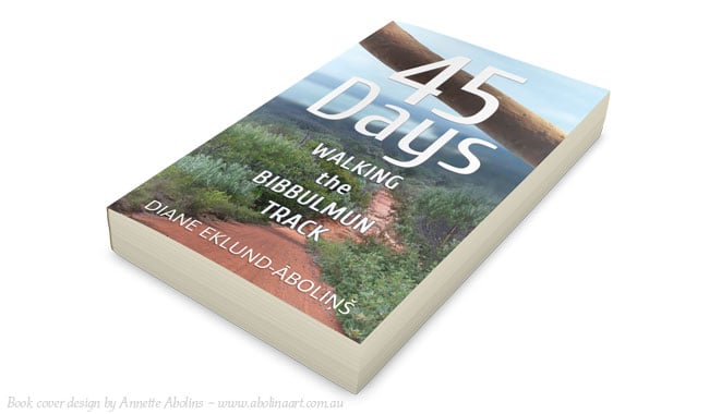 Book cover design Annette Abolins