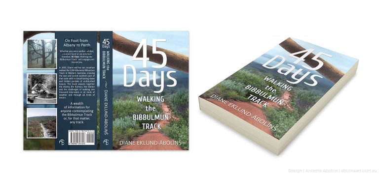 Layout and text graphic design for book cover 45 Days