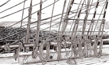 Learning the Ropes - pen & ink drawing Pen & ink drawing - Annette Abolins