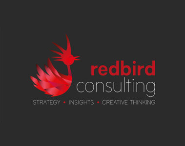 Logo design for consulting business